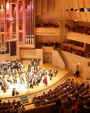 Vienna Light Orchestra