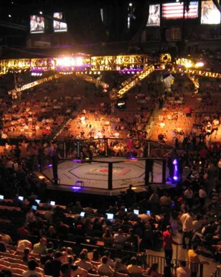 Future of Fighting 11